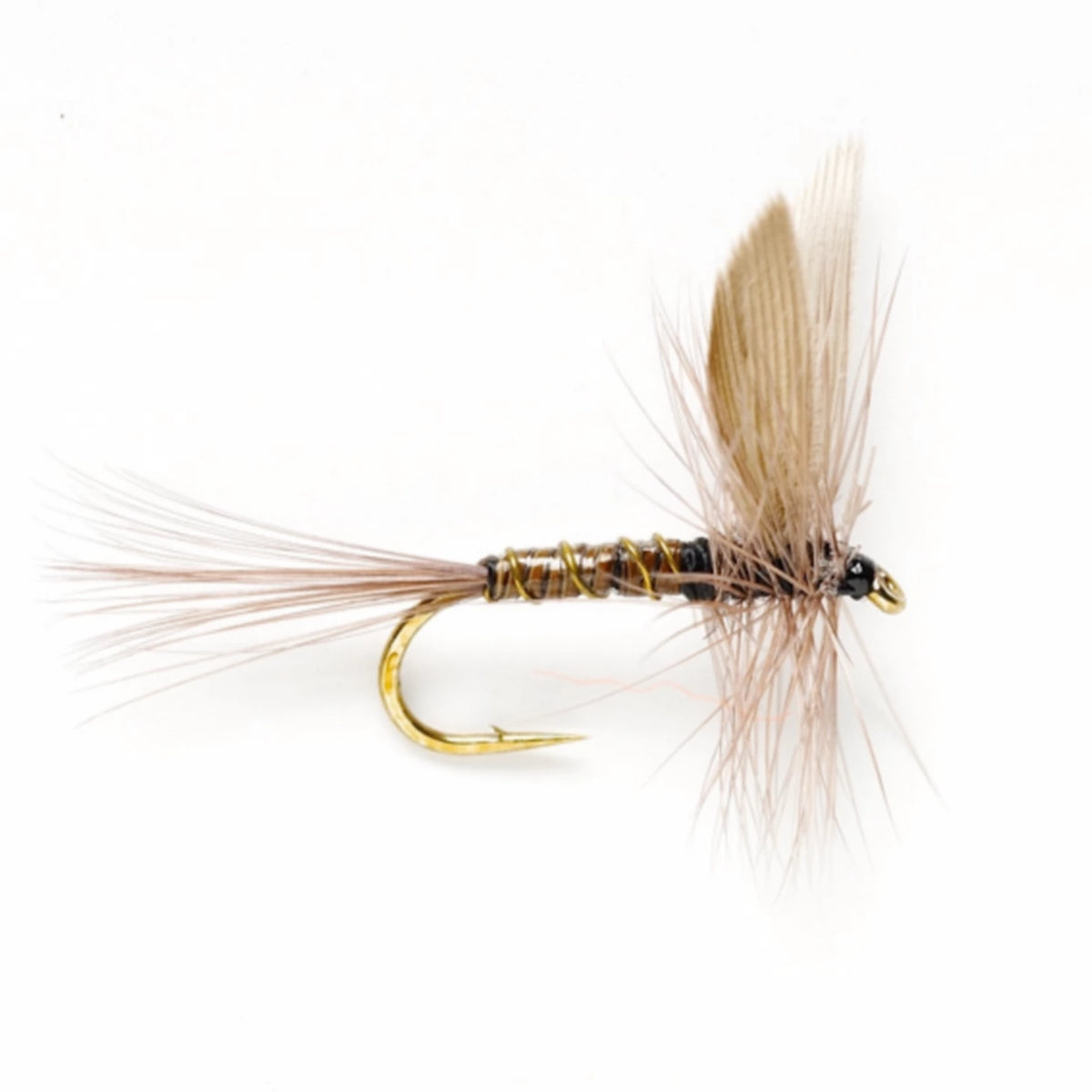 Blue Quill - Orvis Classic