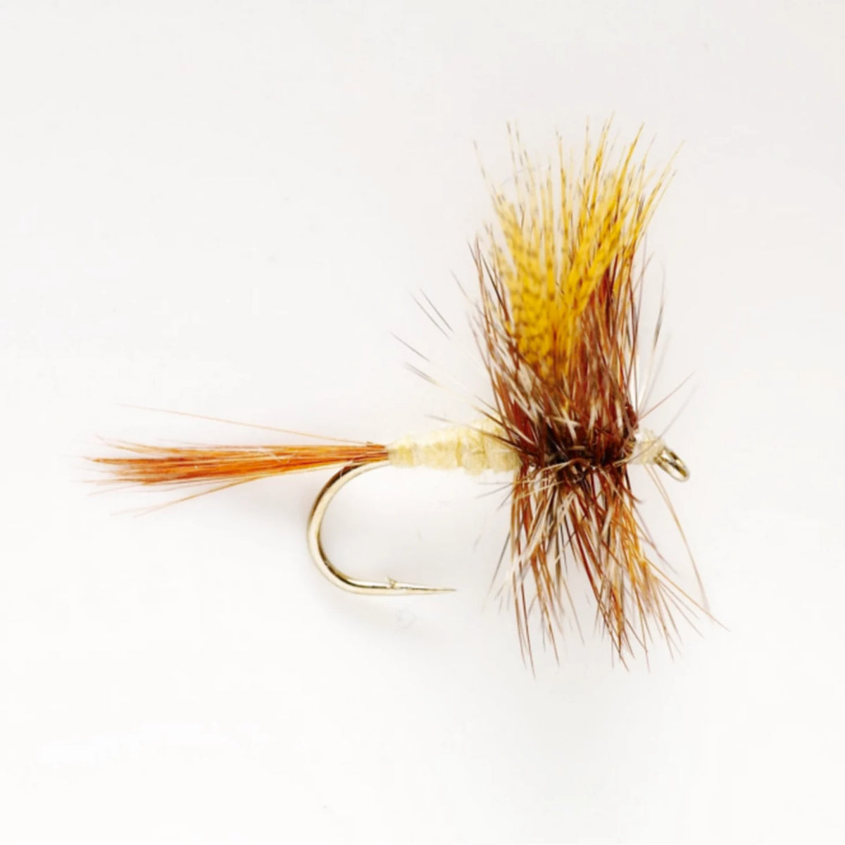 March Brown - Orvis Everyday