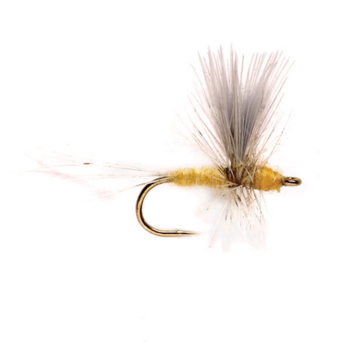 Pale Morning Dun Thorax - Orvis Premium