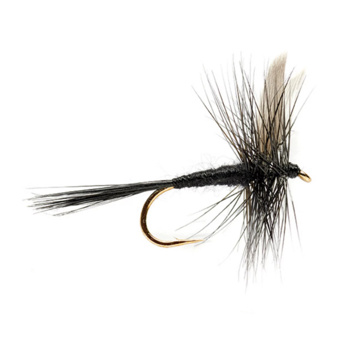 Black Gnat - Orvis Great Value