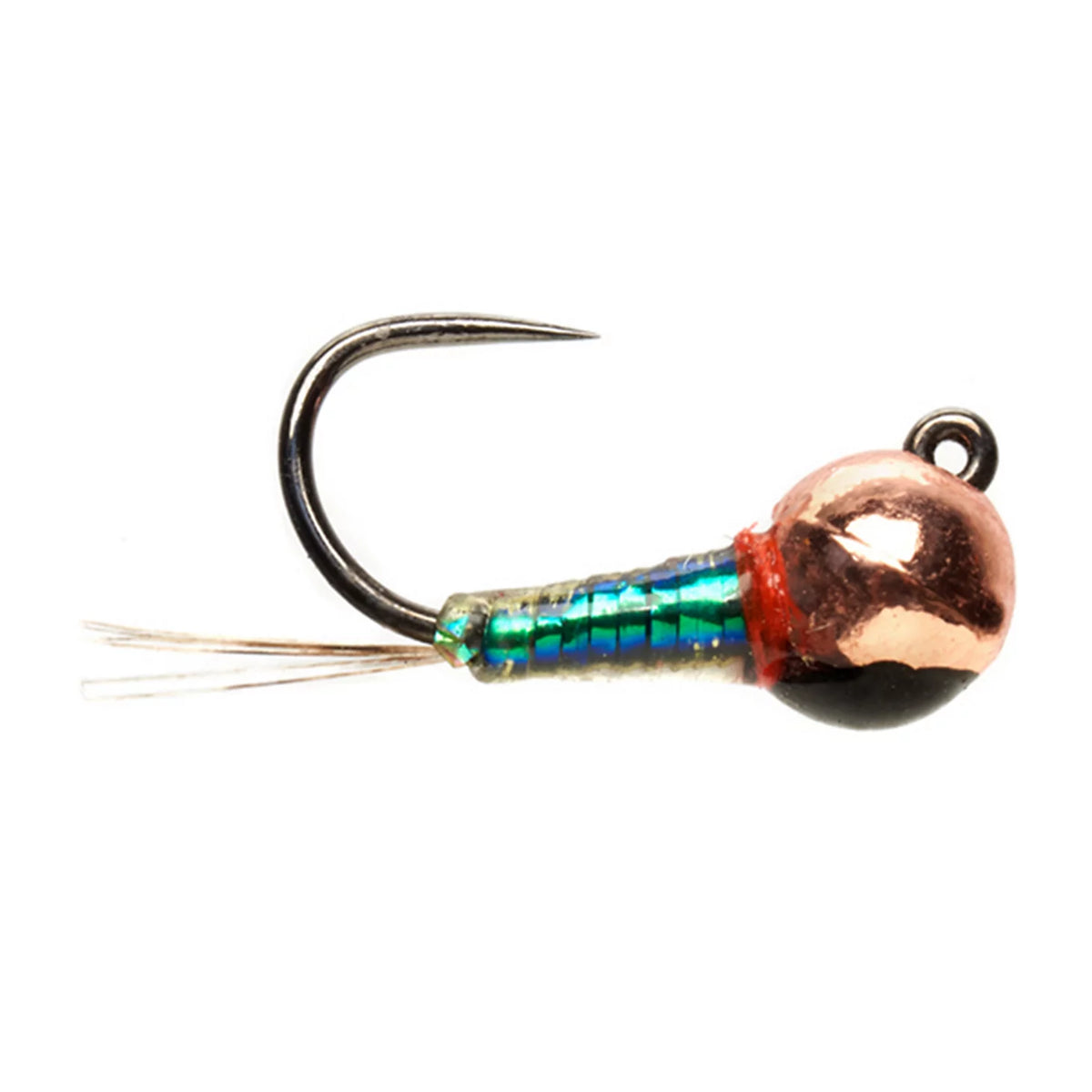 PEACOCK,18