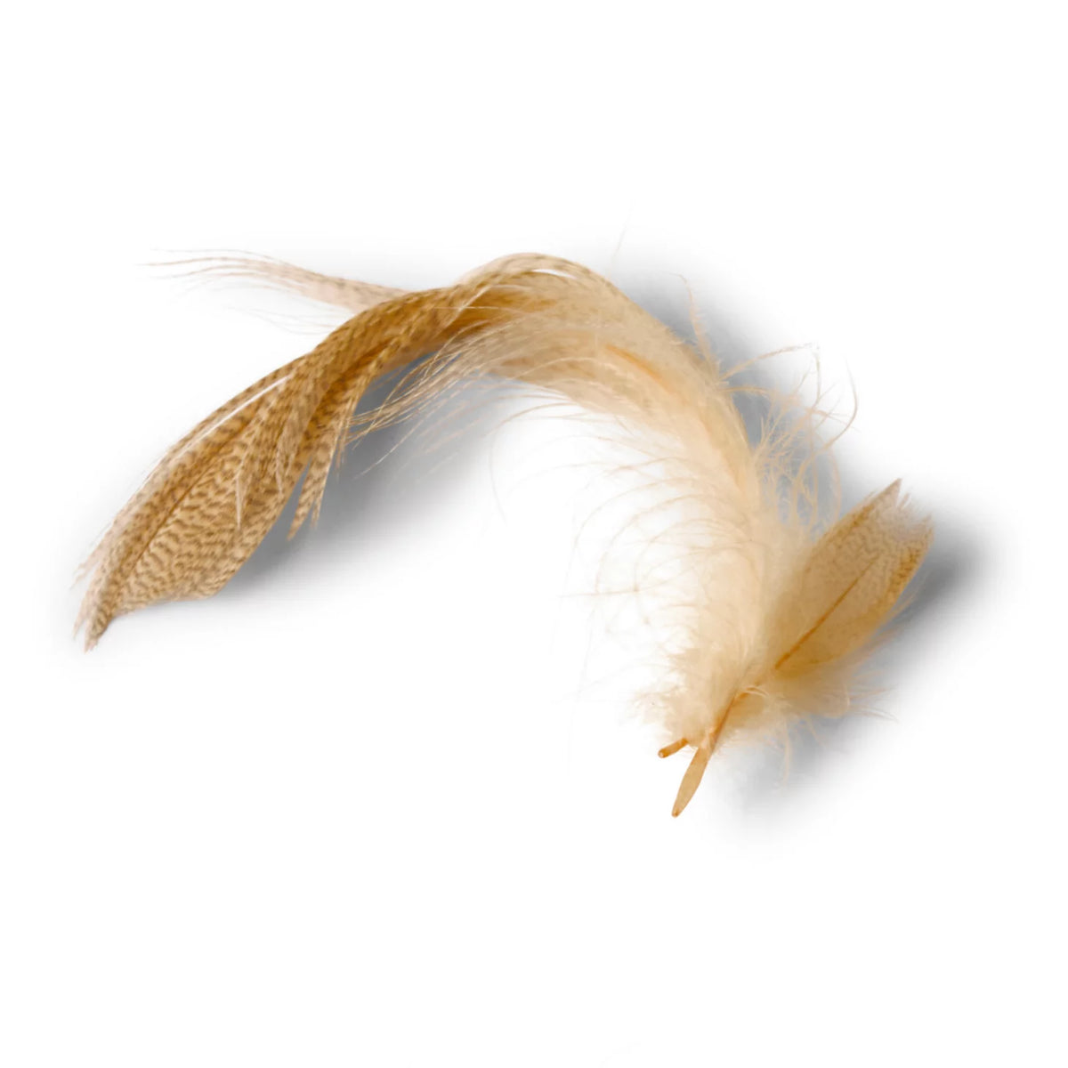 Mallard Duck Side Feathers - Orvis Sale