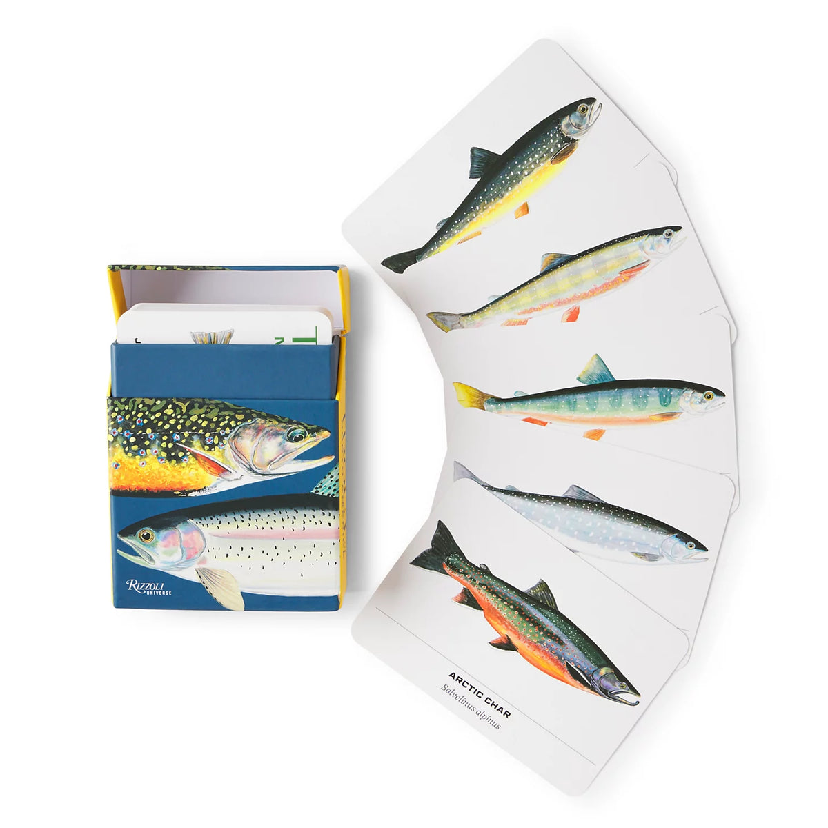 Trout of North America Cards - Orvis Best Seller