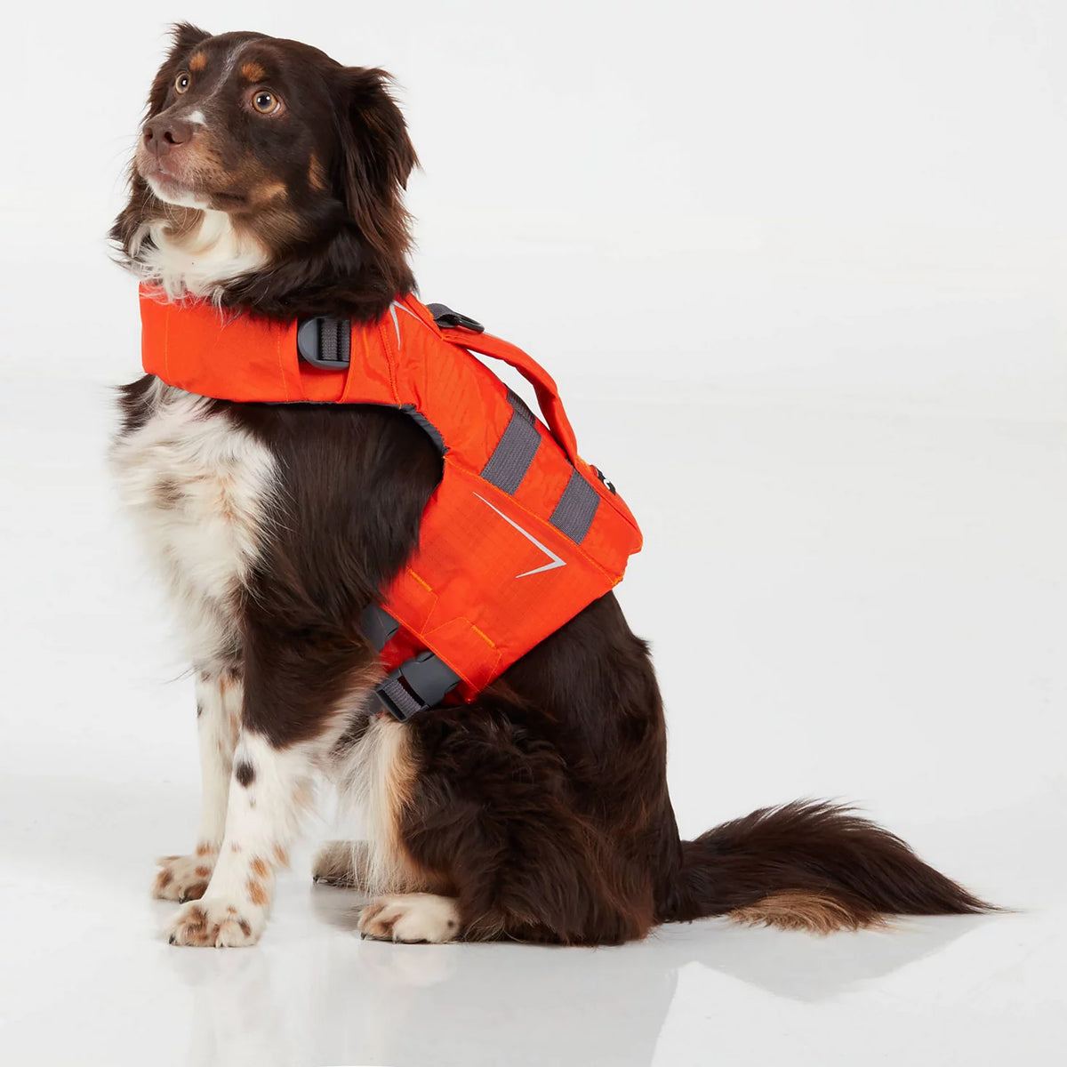 NRS Dog Life Jacket - Orvis Best Price