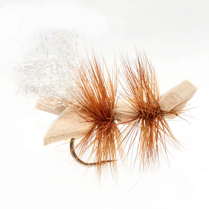 Galactic Ant - Orvis Latest