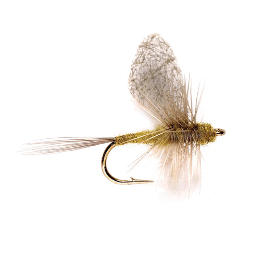Cripple Dun BWO - Orvis New