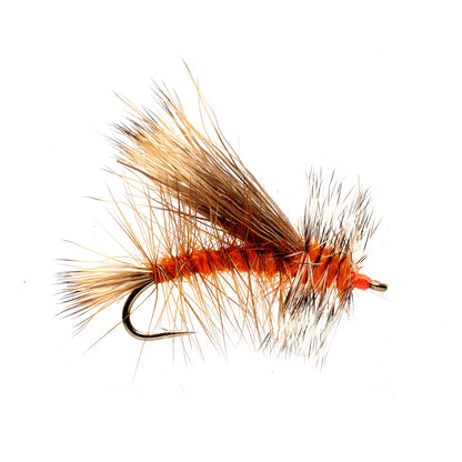 ORANGE,8