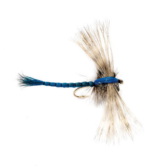 Gibson's Dragonfly - Orvis Smart Buy