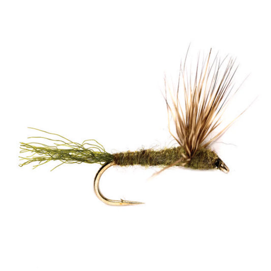 Sparkle Dun - Orvis Customer Favorite