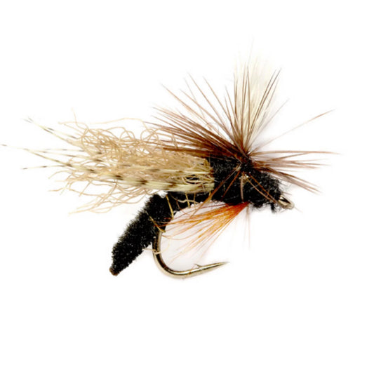 Spotlight Caddis Emerger - Orvis Featured
