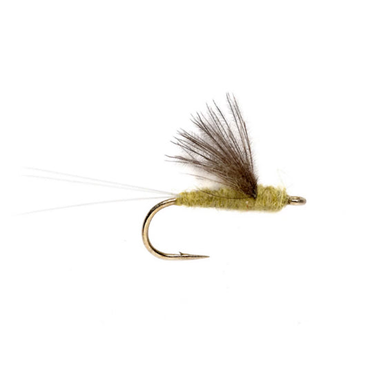 RS2 - Orvis Quality