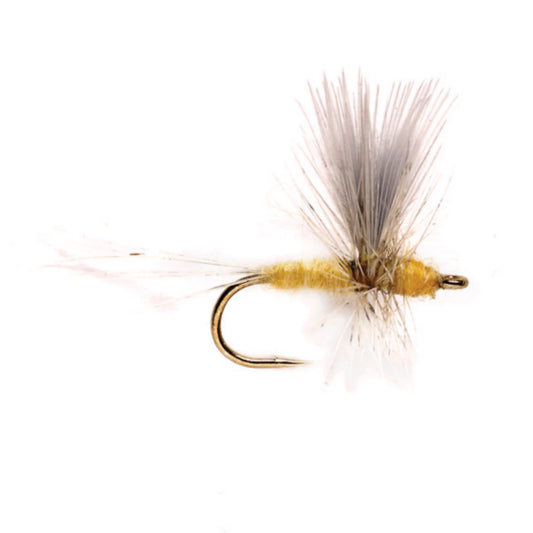 Pale Morning Dun Thorax - Orvis Premium