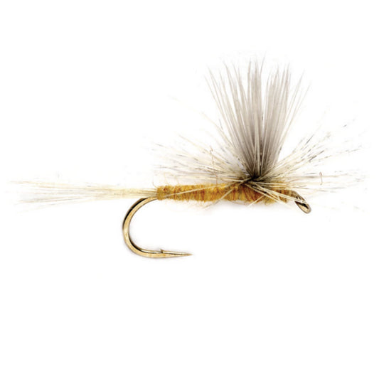 Sulphur Parachute - Orvis Special Offer