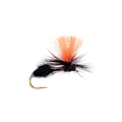 Travis Para Ant - Orvis Latest