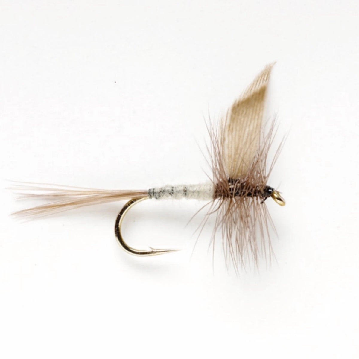 Blue Dun - Orvis Customer Favorite