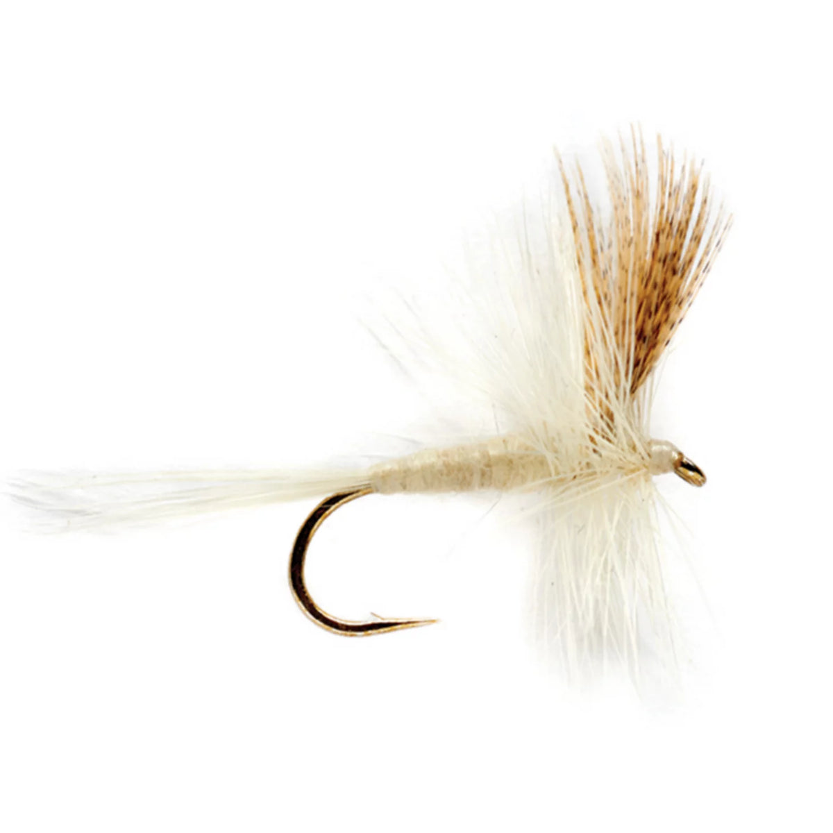 Light Cahill - Orvis Everyday