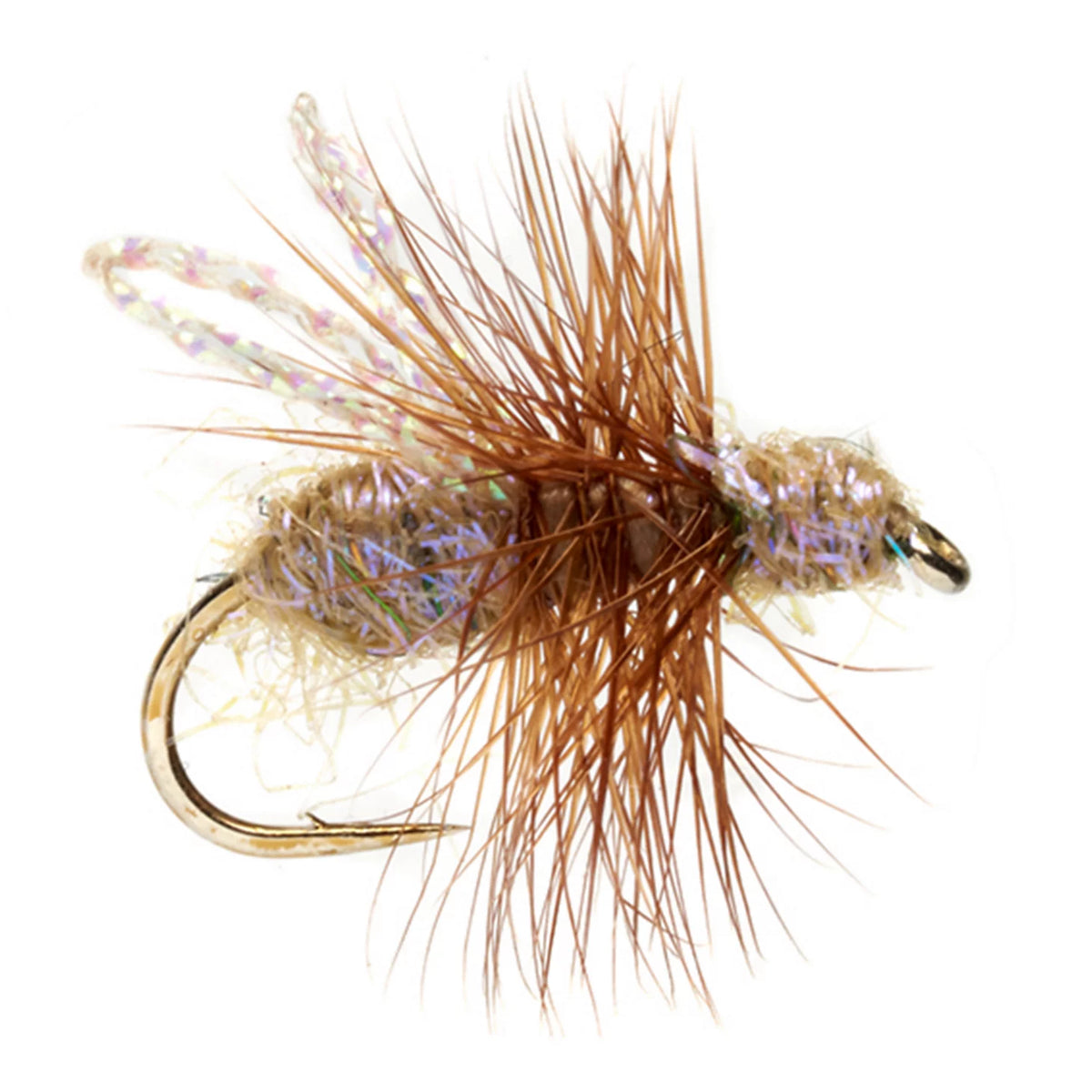 TAN,14