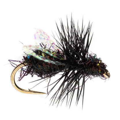 BLACK,14
