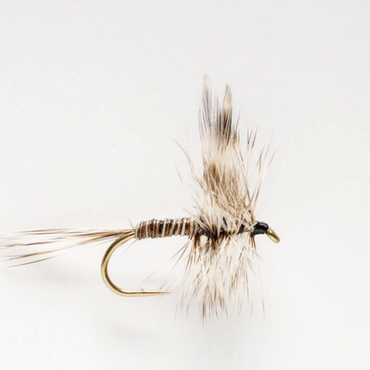 Mosquito Dry Fly - Orvis Sale