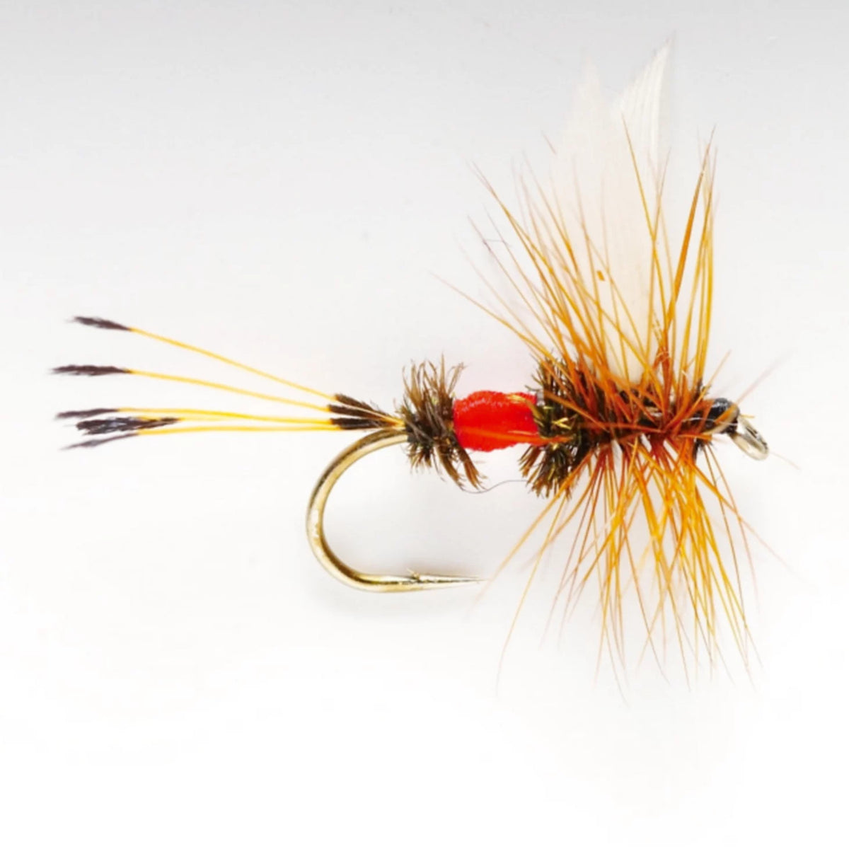 Royal Coachman - Orvis Hot Sale