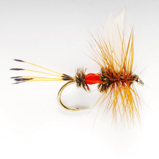 Royal Coachman - Orvis Hot Sale