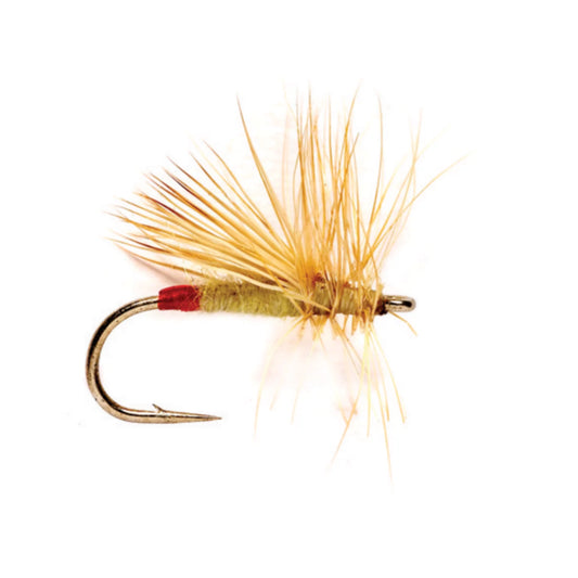Yellow Sally - Orvis Signature