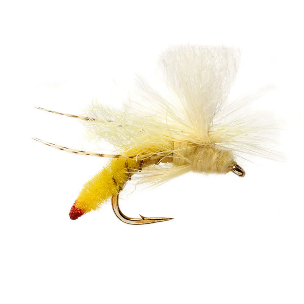 Spotlight Yellow Sally - Orvis Essential