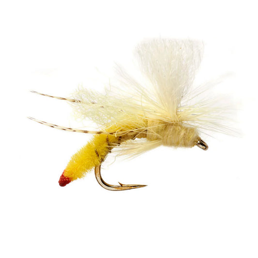 Spotlight Yellow Sally - Orvis Essential
