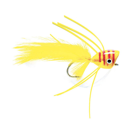 YELLOW/RED,6