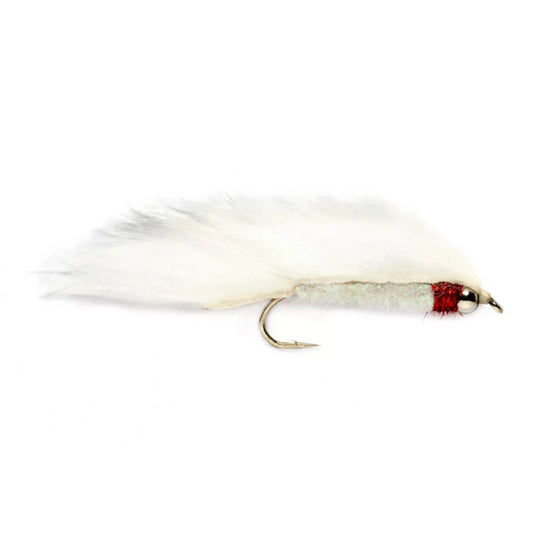 WHITE,4
