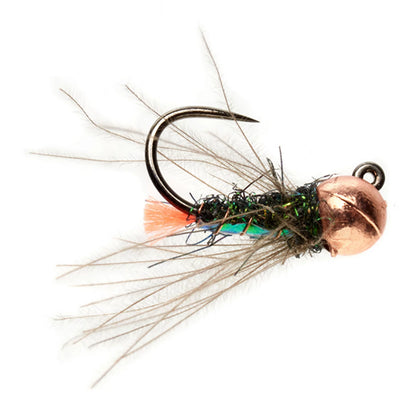 PEACOCK,16