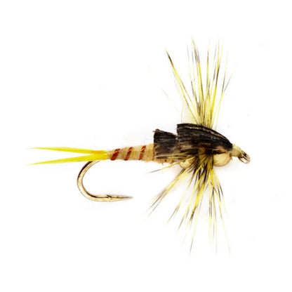YELLOW,8