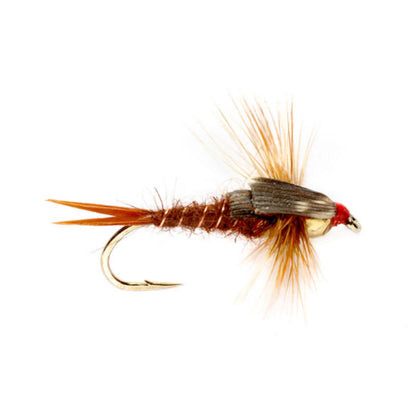 BROWN,8