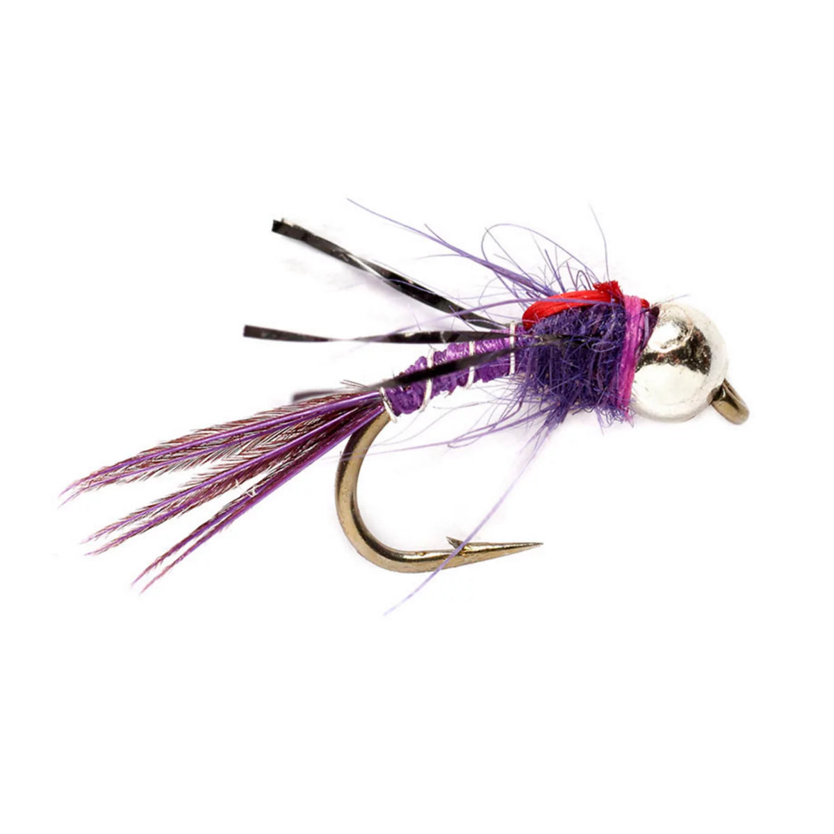 PURPLE,16