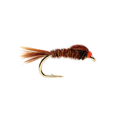 English Pheasant Tail - Orvis Everyday