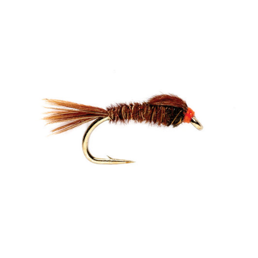 English Pheasant Tail - Orvis Everyday