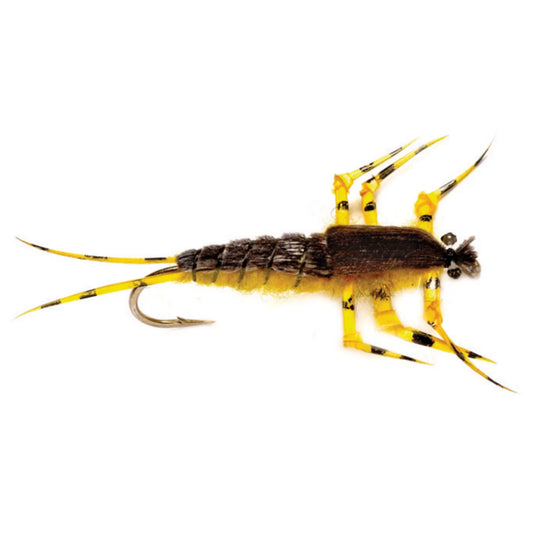 Ted's Golden Stone - Orvis Everyday