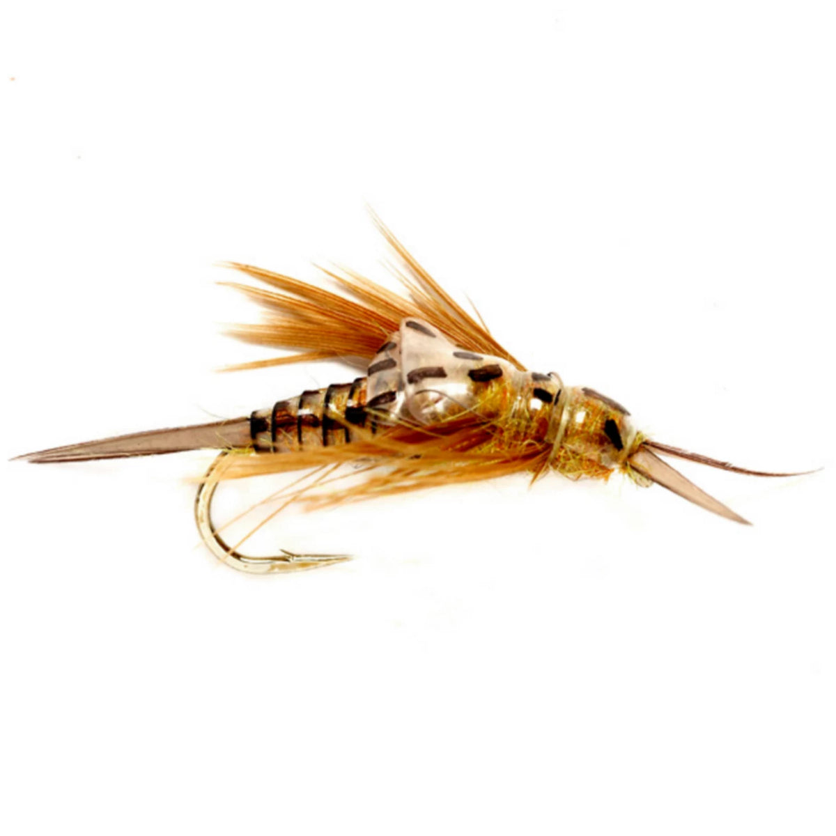 OE Stonefly Nymph - Orvis Value