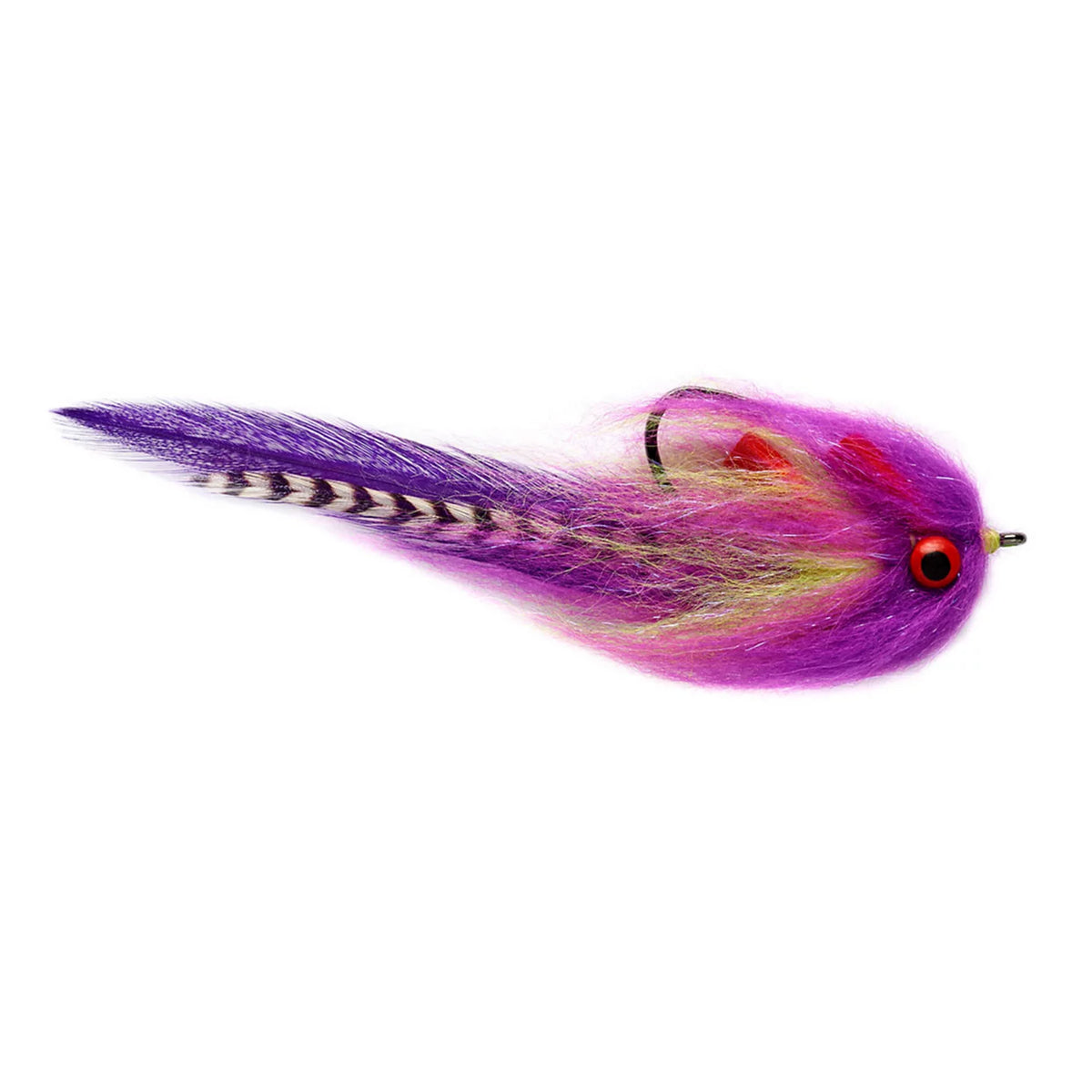PURPLE,1/0
