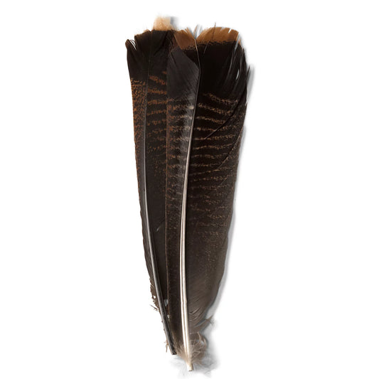 Mottled Turkey Feathers - Orvis Special Offer