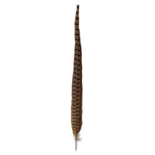 Pheasant Tail - Orvis Essential