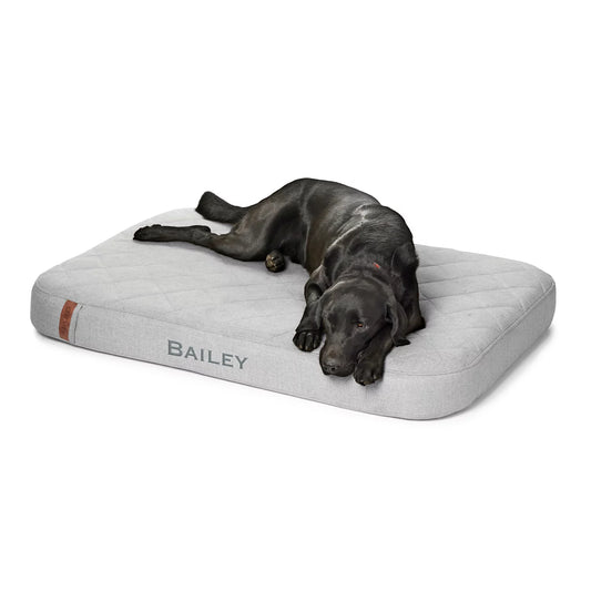 Orvis RecoveryZone® Lounger Dog Bed - Orvis Smart Buy