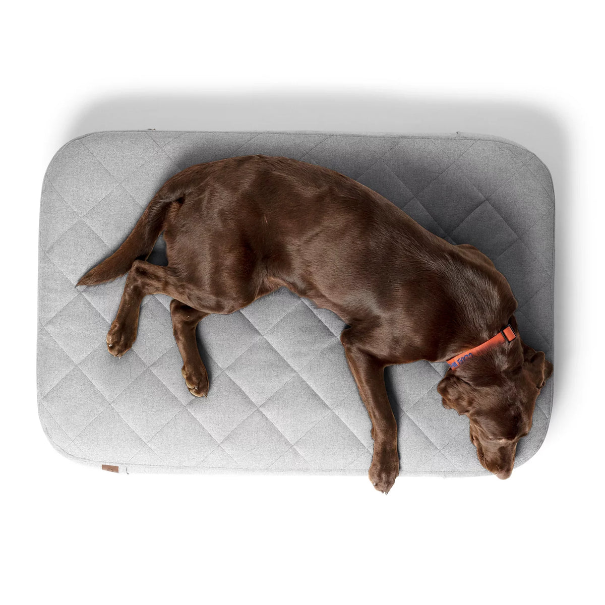 Orvis RecoveryZone® Lounger Dog Bed - Orvis Smart Buy
