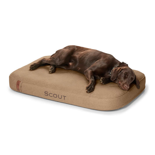 Orvis RecoveryZone® ToughChew® Lounger Dog Bed - Orvis Discount