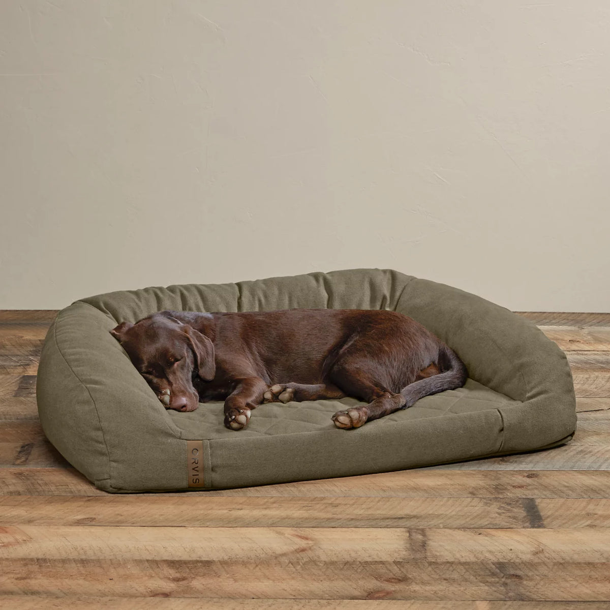 OLIVE,SMALL