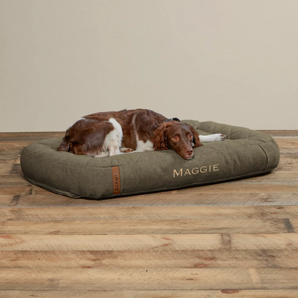 OLIVE,MEDIUM