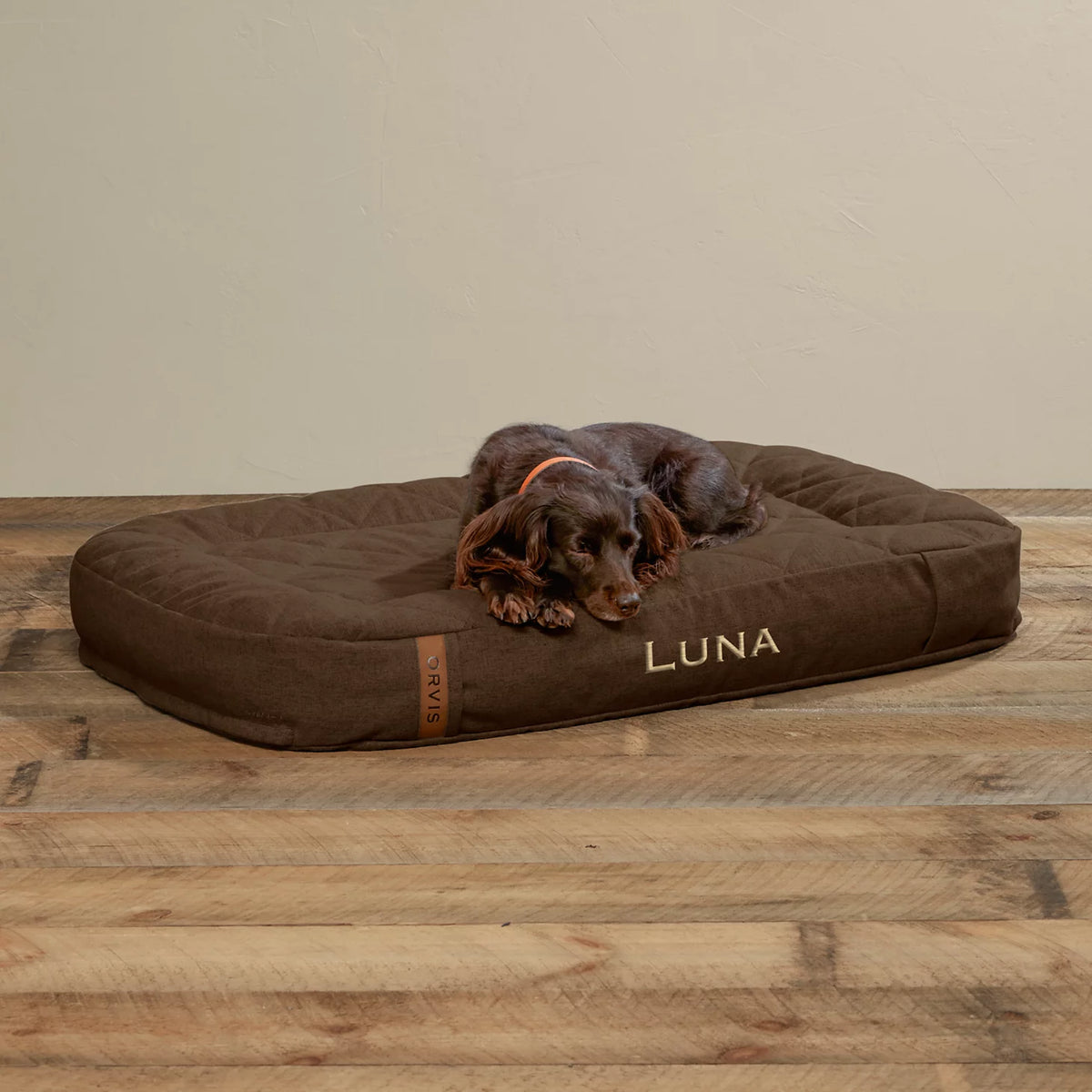 ToughChew® Memory Foam Lounger Dog Bed - Orvis Best Price