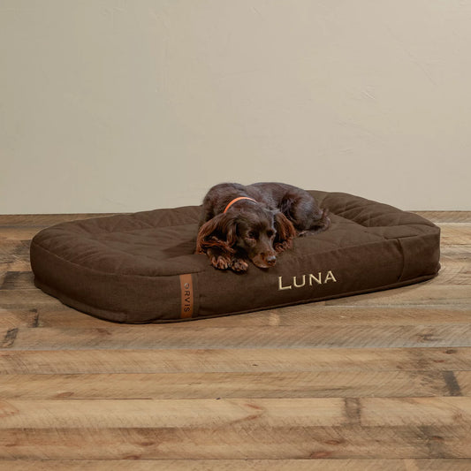 ToughChew® Memory Foam Lounger Dog Bed - Orvis Best Price