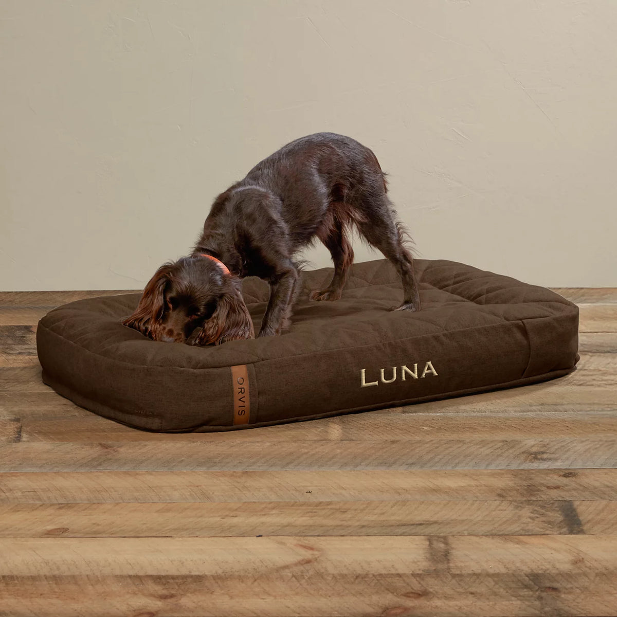 ToughChew® Memory Foam Lounger Dog Bed - Orvis Best Price
