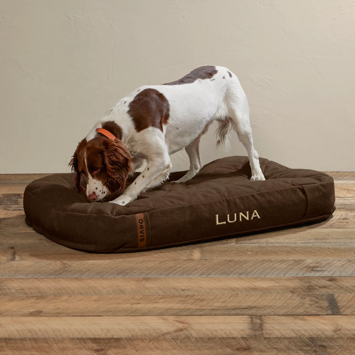 ToughChew® Memory Foam Lounger Dog Bed - Orvis Best Price